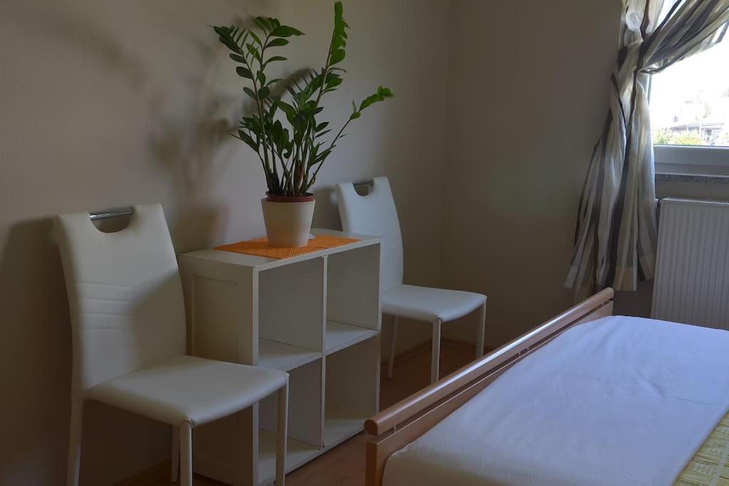 Apartman Ana Pula - Calm, Free Parking, Close To Center Zewnętrze zdjęcie